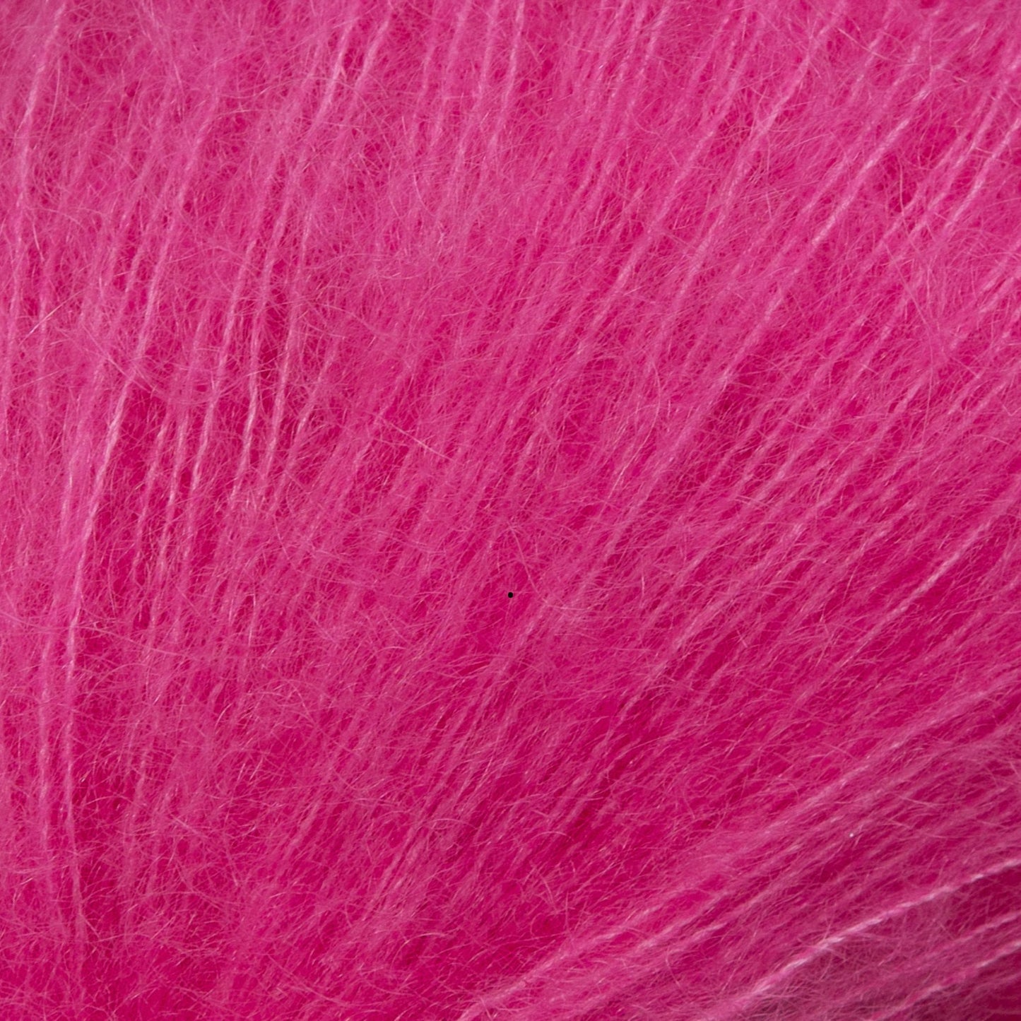 4561