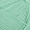 Mint (7723)