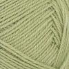 Green Tea (9533)
