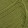 Matcha (9564)