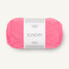 Bubblegum Pink (4315)