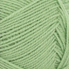 Spring Green (8733)