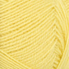 Lemon (9004)