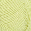 Lime Punch (9523)