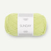 Lime Punch (9523)