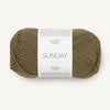 Dark Olive (9873)