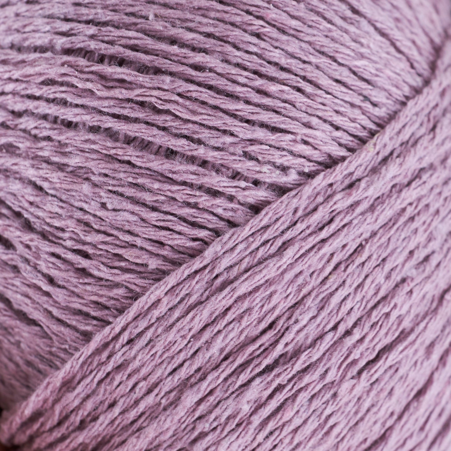 Artichoke Purple