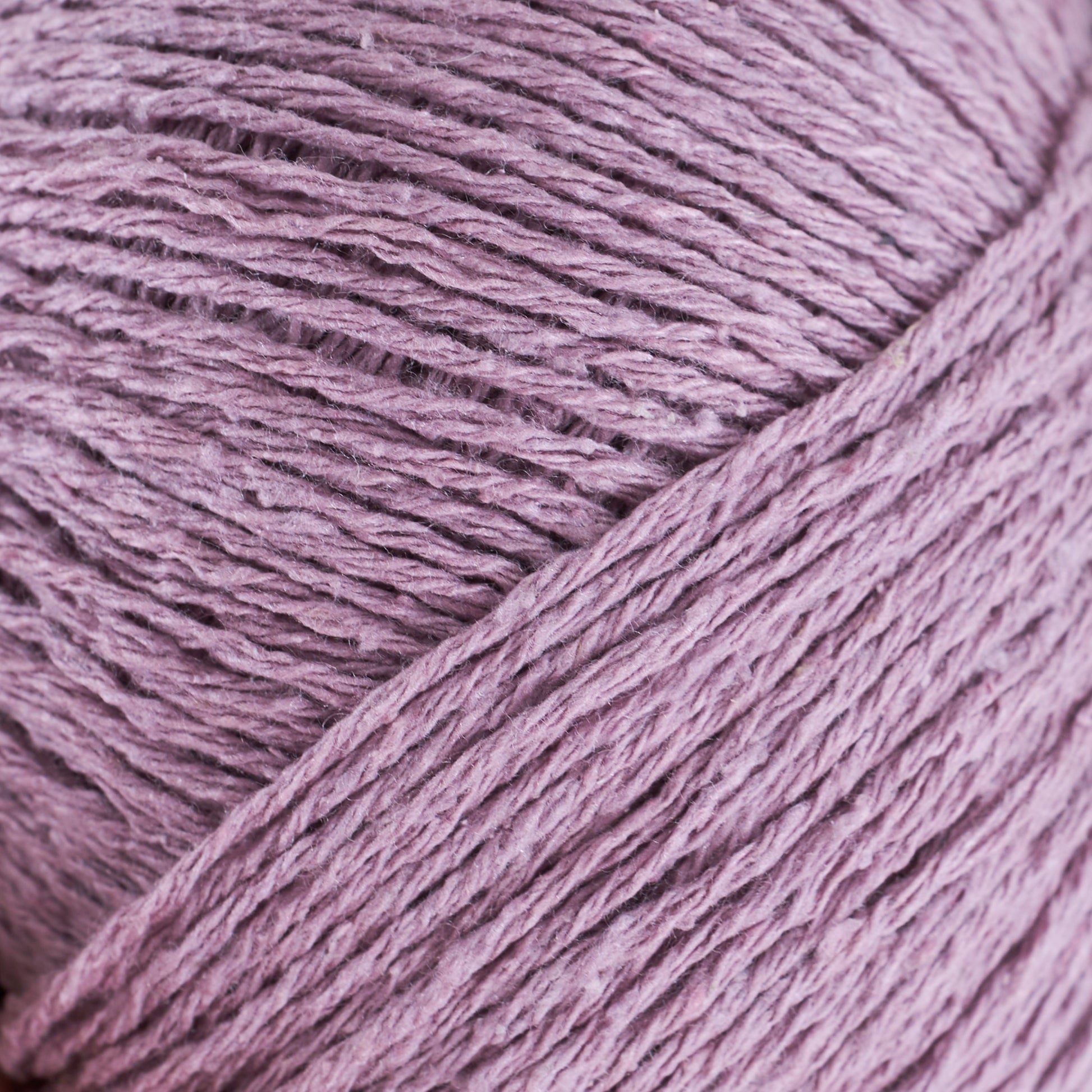 Artichoke Purple