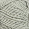 lichen (047)