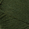 spruce forest (391)