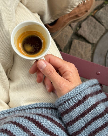 Frankie Sweater [EN + PL] [Wzór w formie papierowej]