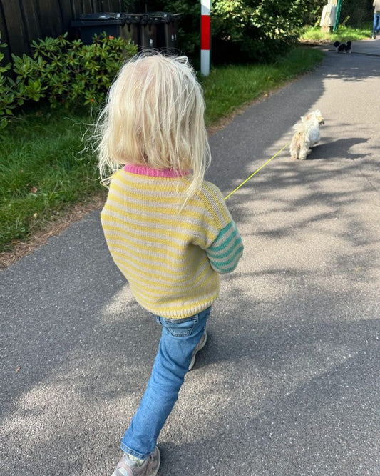 Holger Sweater [EN] [Wzór w formie papierowej]