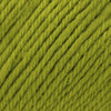 Kiwi (0179)